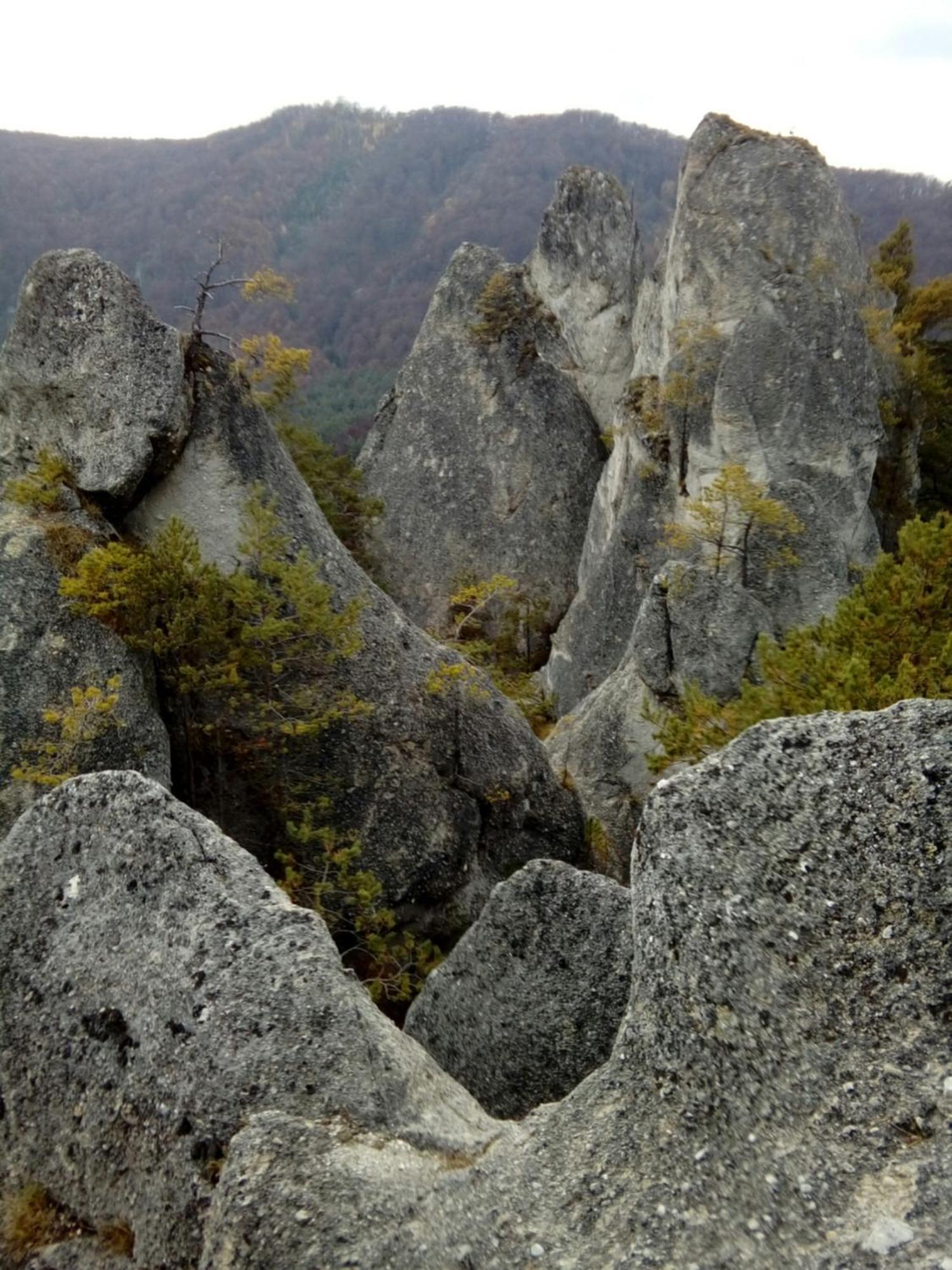 Apartamento Castle Kaštieľ Kotešová Exterior foto